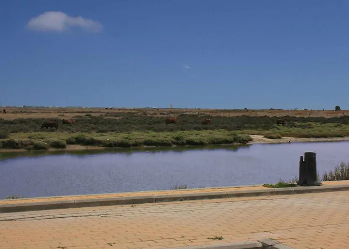 Apartmán Marina 1 Atico De Lujo Vistas Al Mar Piscina Conil De La Frontera